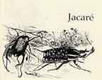 Jacare 3 - Click to view larger image.
